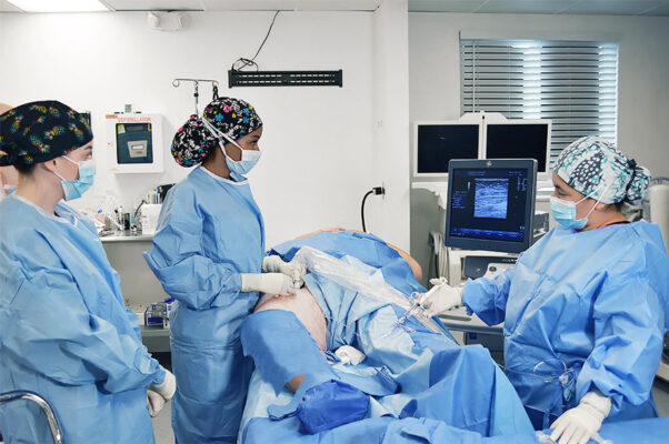 Varicose Vein Doctor St Pete FL