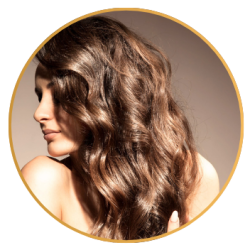 Natural Hair Restoration Clinic St Petersburg FL